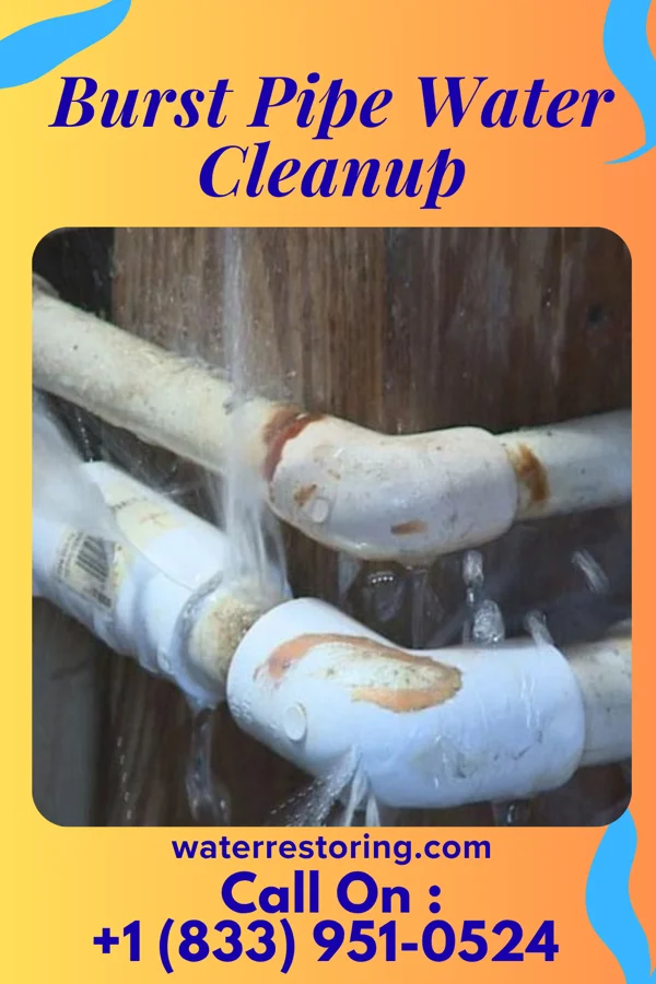 Burst Pipe Water Cleanup in North Hudson, WI