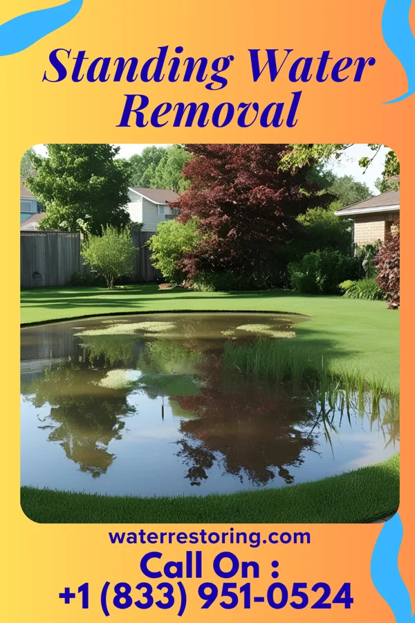 Standing Water Removal in North Hudson, WI